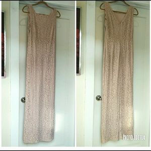 Adrianna Papell Lace Blush Pink Dress